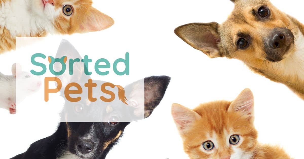 Sorted Pets